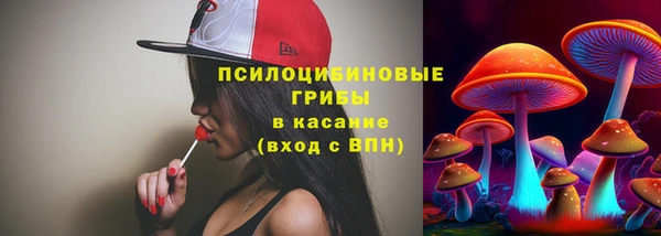шишки Балабаново