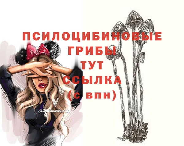 шишки Балабаново
