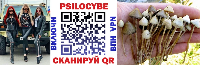гидра ТОР  Калуга  Галлюциногенные грибы GOLDEN TEACHER 
