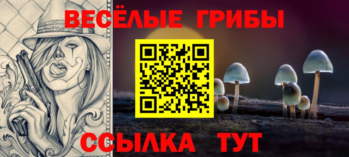 Калуга  Псилоцибиновые грибы GOLDEN TEACHER  Вход с VPN  Галлюциногенные грибы MAGIC MUSHROOMS 